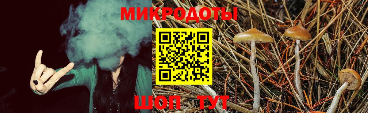 Псилоцибиновые грибы MAGIC MUSHROOMS  Вход с VPN  Великий Устюг  Псилоцибиновые грибы Psilocybine cubensis 
